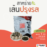 Seasoned Sliced seaweed 1 Kg.